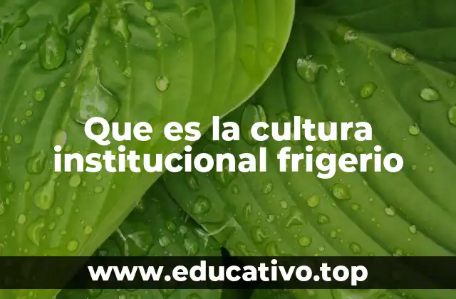 Que es la cultura institucional frigerio