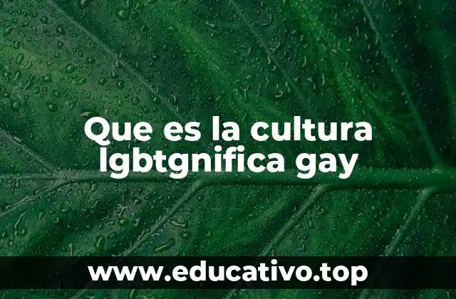 Que es la cultura lgbtgnifica gay