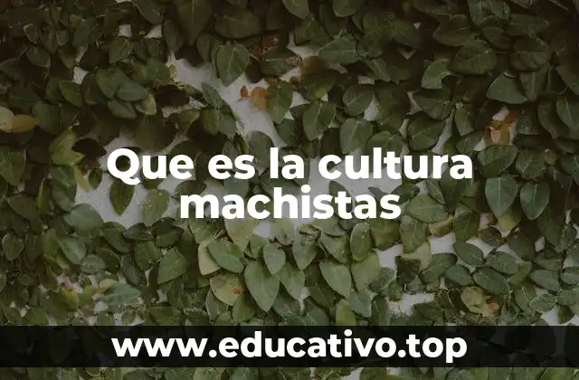 Que es la cultura machistas
