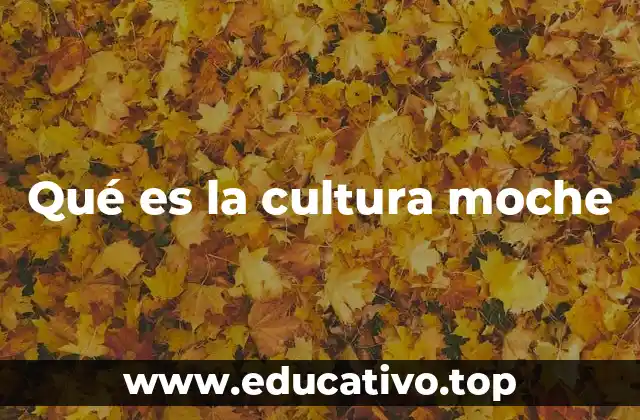 Qué es la cultura moche