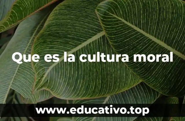 Que es la cultura moral