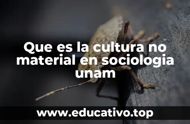 Que es la cultura no material en sociologia unam