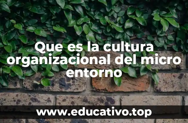 Que es la cultura organizacional del micro entorno