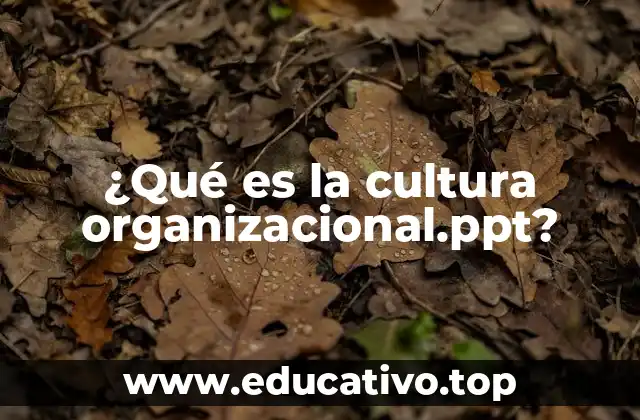 ¿Qué es la cultura organizacional.ppt?
