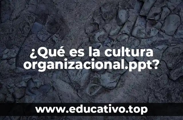 ¿Qué es la cultura organizacional.ppt?