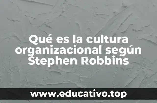 La importancia de comprender la cultura organizacional para el éxito empresarial