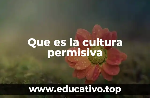 Que es la cultura permisiva