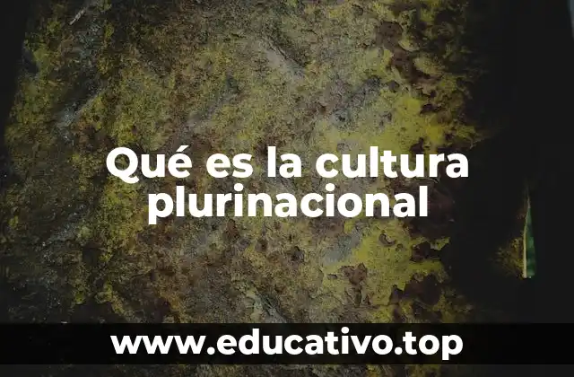Qué es la cultura plurinacional