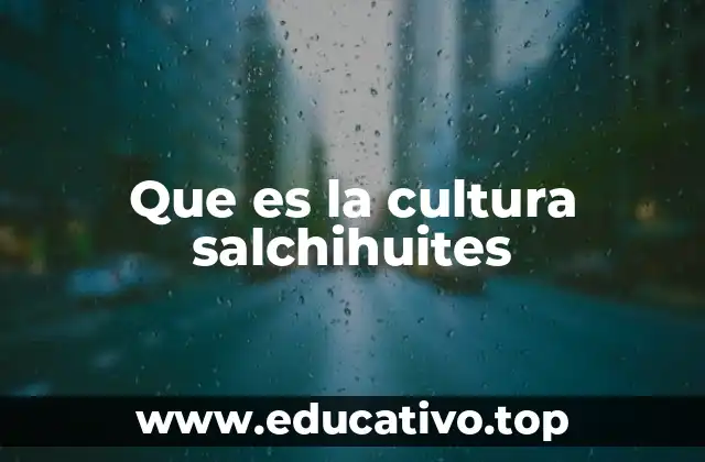 Que es la cultura salchihuites