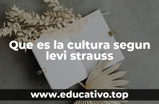 Que es la cultura segun levi strauss