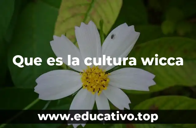 Que es la cultura wicca