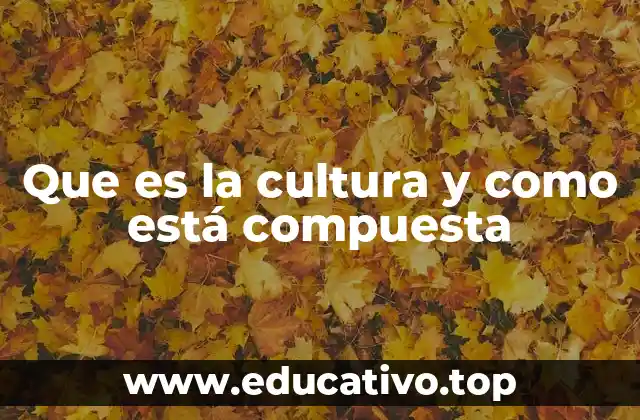 Que es la cultura y como está compuesta