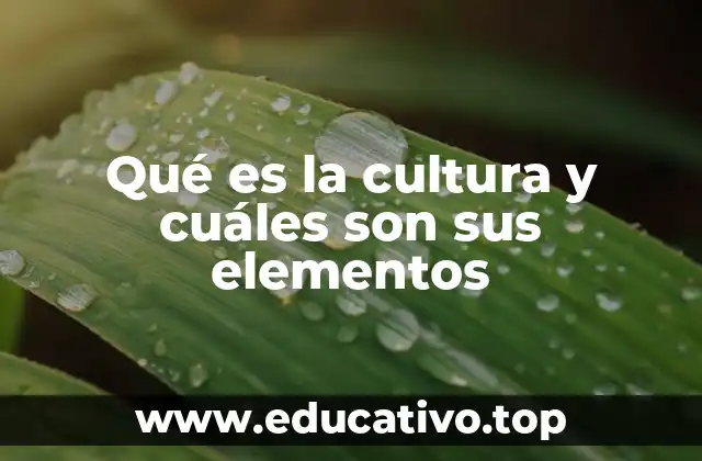 La identidad social y su relación con la cultura