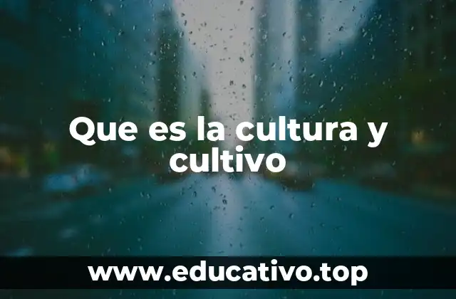 Que es la cultura y cultivo