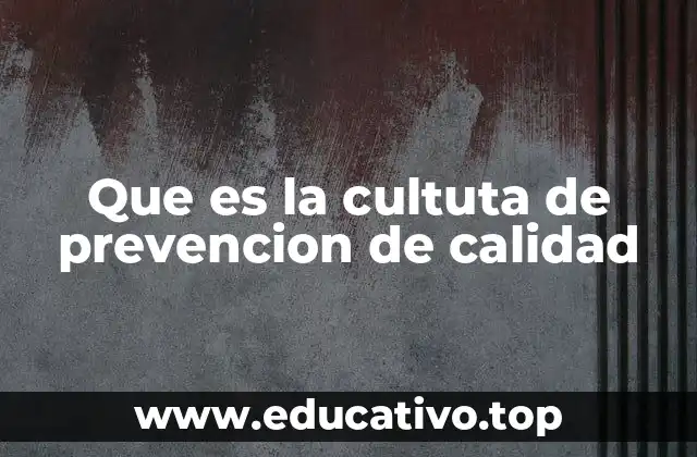 Que es la cultuta de prevencion de calidad