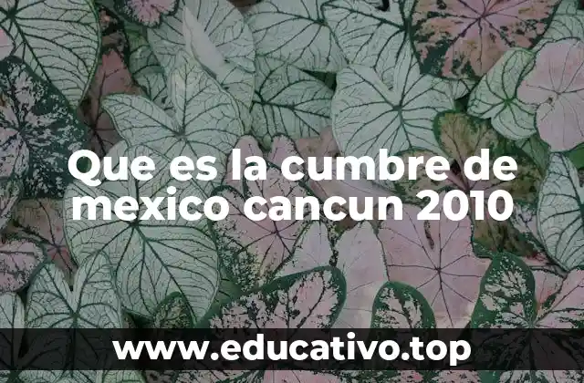 Que es la cumbre de mexico cancun 2010