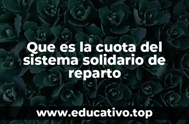 Que es la cuota del sistema solidario de reparto