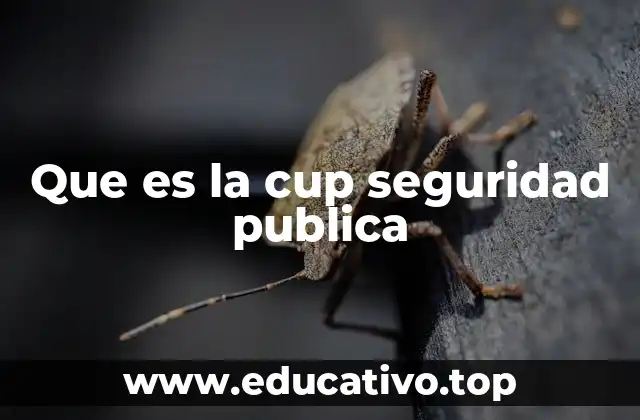 Que es la cup seguridad publica