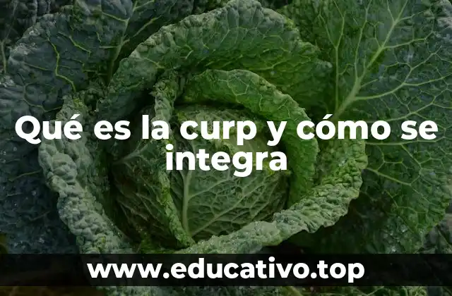 Qué es la curp y cómo se integra