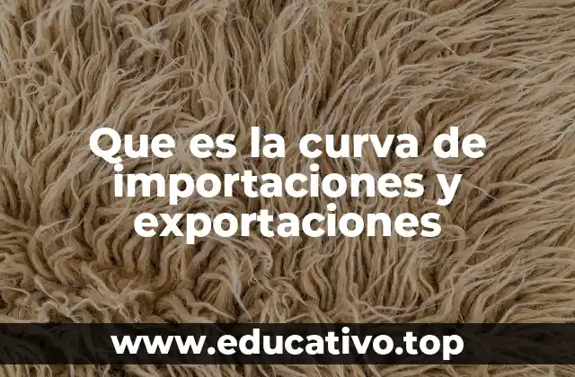 Que es la curva de importaciones y exportaciones
