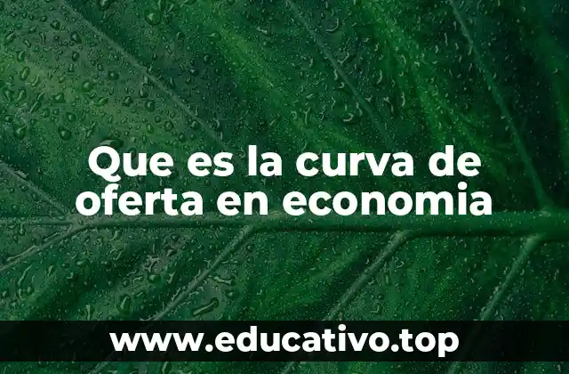 Que es la curva de oferta en economia