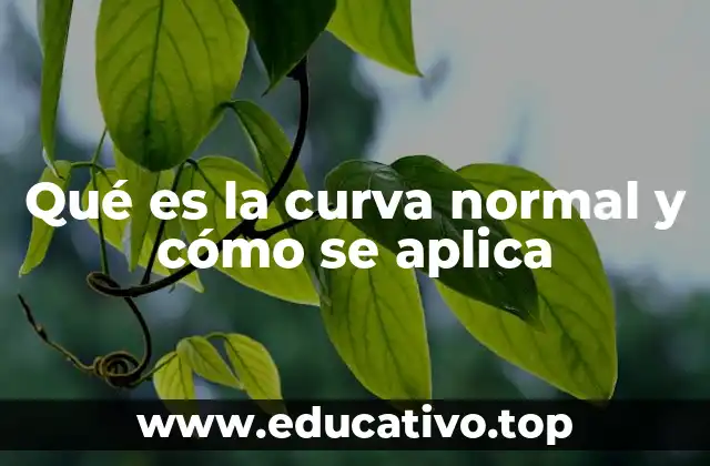 Qué es la curva normal y cómo se aplica