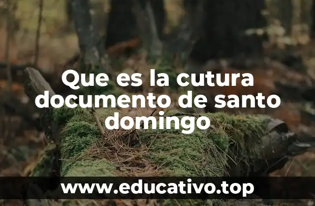 Que es la cutura documento de santo domingo