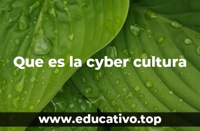 Que es la cyber cultura
