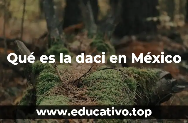 Daci y su uso en contextos empresariales en México