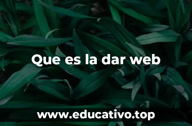 Que es la dar web