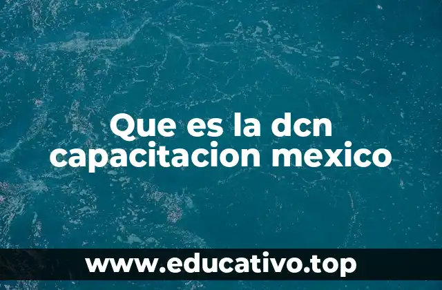 El rol de las instituciones de capacitación en el desarrollo profesional