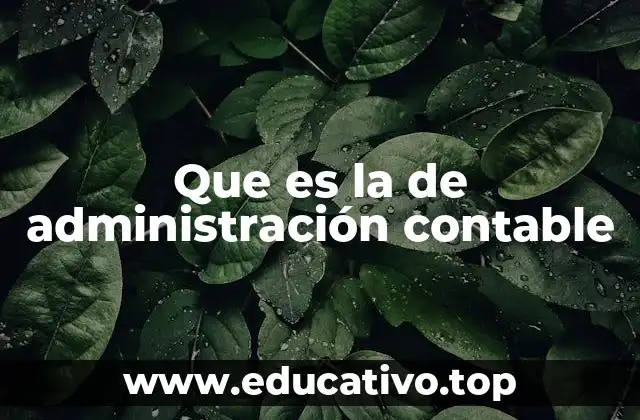 Que es la de administración contable