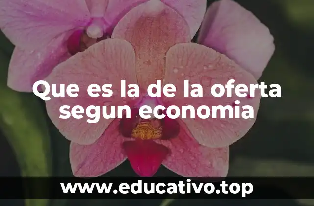 Que es la de la oferta segun economia