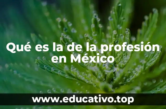 El proceso de registro y ejercicio profesional en México