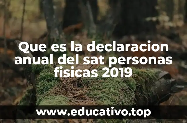 Requisitos para presentar la Declaración Anual 2019