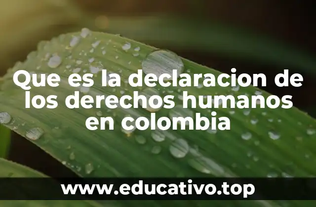 Que es la declaracion de los derechos humanos en colombia
