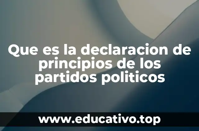 Que es la declaracion de principios de los partidos politicos