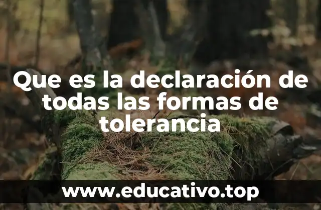 Que es la declaración de todas las formas de tolerancia