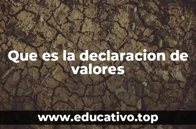 Que es la declaracion de valores