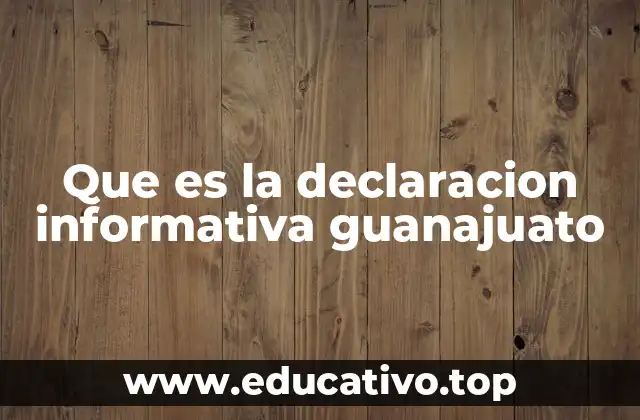 Que es la declaracion informativa guanajuato