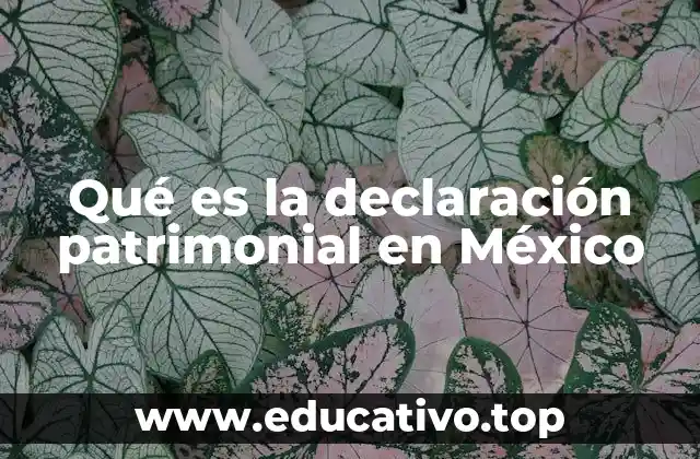 Qué es la declaración patrimonial en México