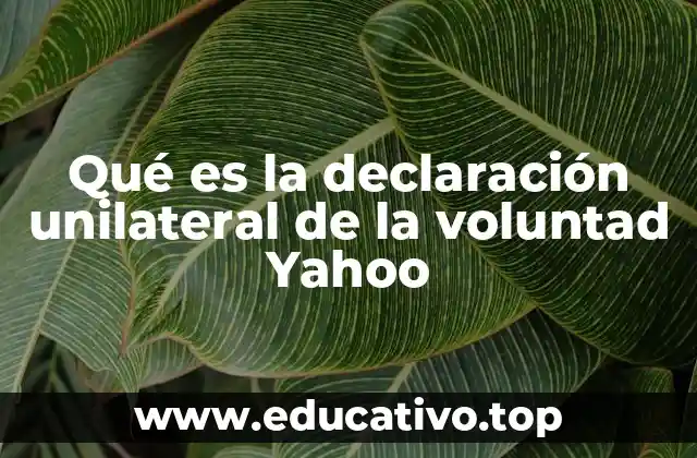 Qué es la declaración unilateral de la voluntad Yahoo