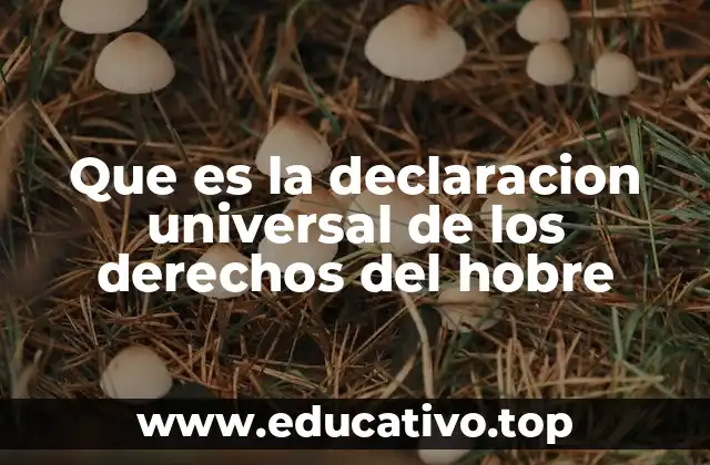 Que es la declaracion universal de los derechos del hobre