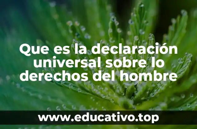 Que es la declaración universal sobre lo derechos del hombre