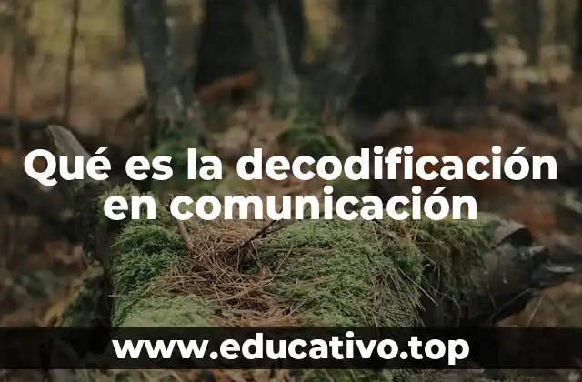 Qué es la decodificación en comunicación