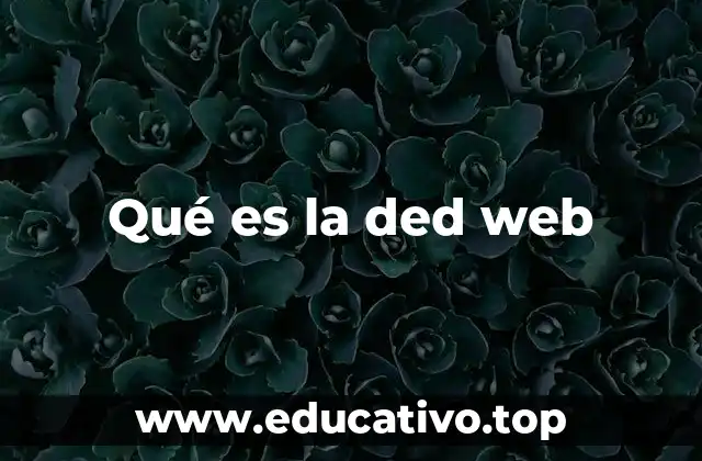 Qué es la ded web