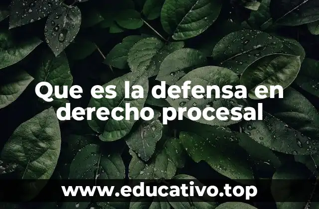 Que es la defensa en derecho procesal