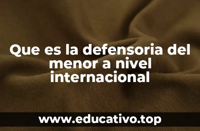 Que es la defensoria del menor a nivel internacional