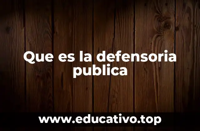Que es la defensoria publica