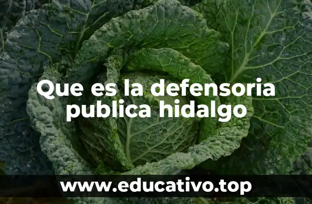 Que es la defensoria publica hidalgo